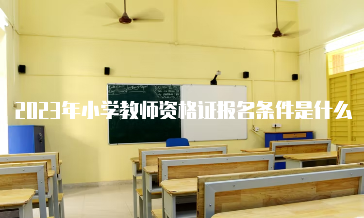 2023年小学教师资格证报名条件是什么