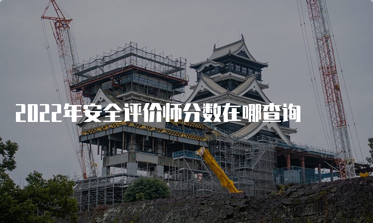 2022年安全评价师分数在哪查询