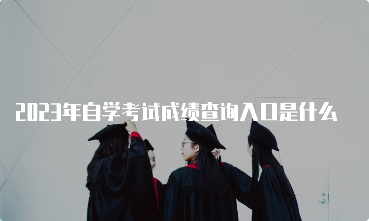 2023年自学考试成绩查询入口是什么