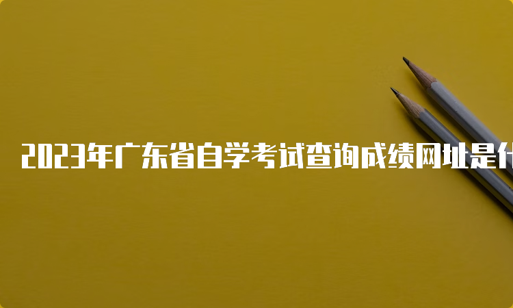 2023年广东省自学考试查询成绩网址是什么