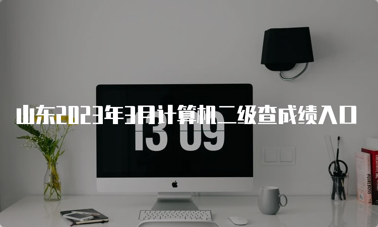 山东2023年3月计算机二级查成绩入口