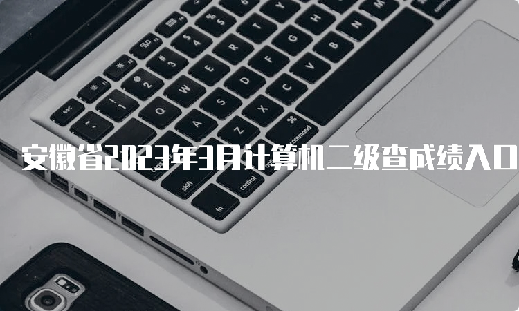 安徽省2023年3月计算机二级查成绩入口