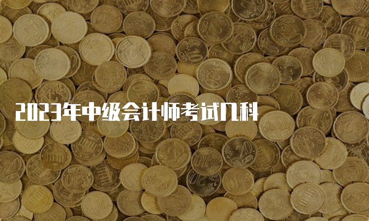 2023年中级会计师考试几科