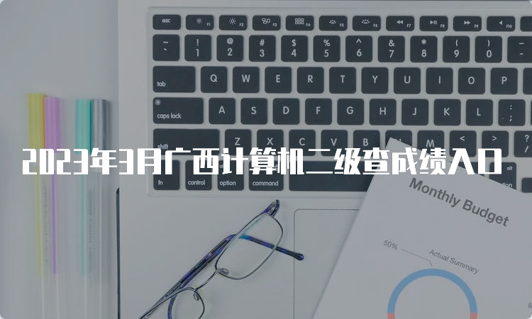 2023年3月广西计算机二级查成绩入口