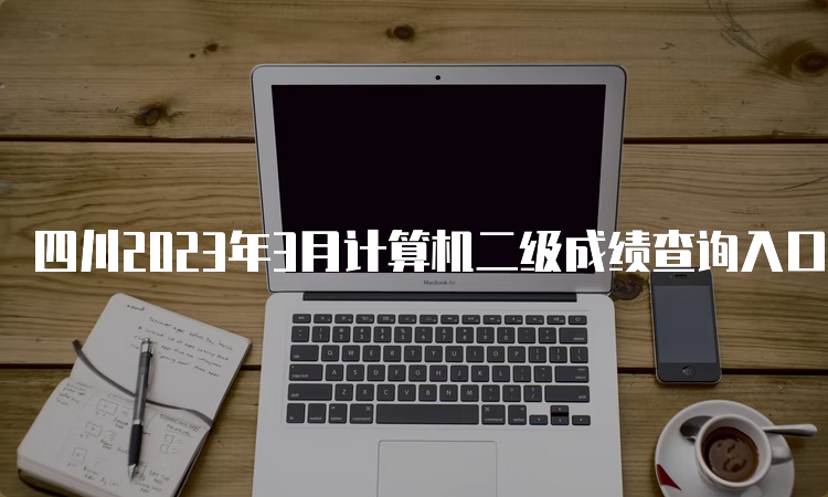 四川2023年3月计算机二级成绩查询入口中国教育考试网