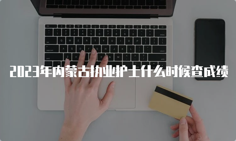 2023年内蒙古执业护士什么时候查成绩