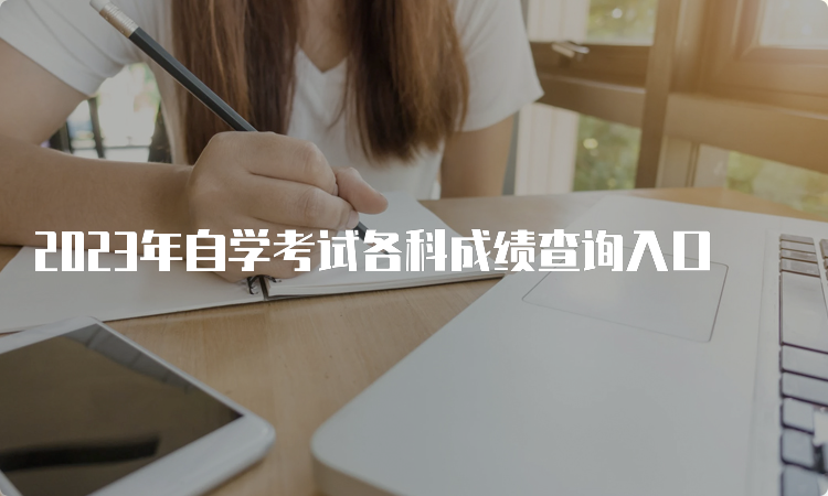 2023年自学考试各科成绩查询入口