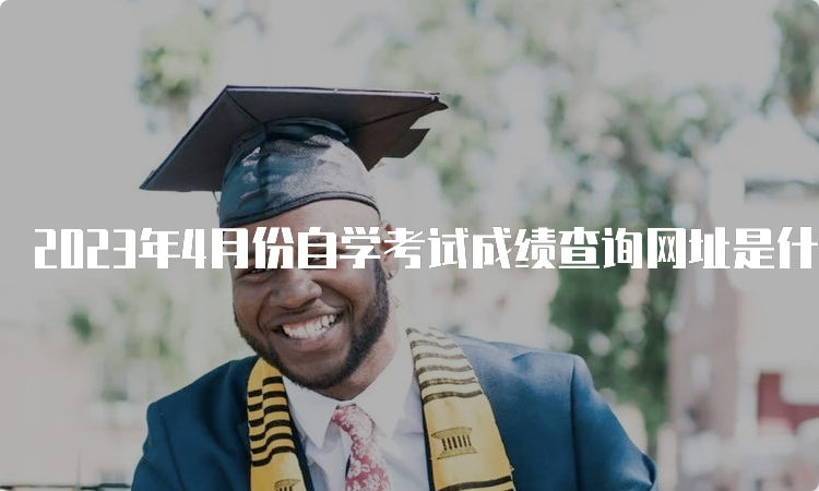 2023年4月份自学考试成绩查询网址是什么