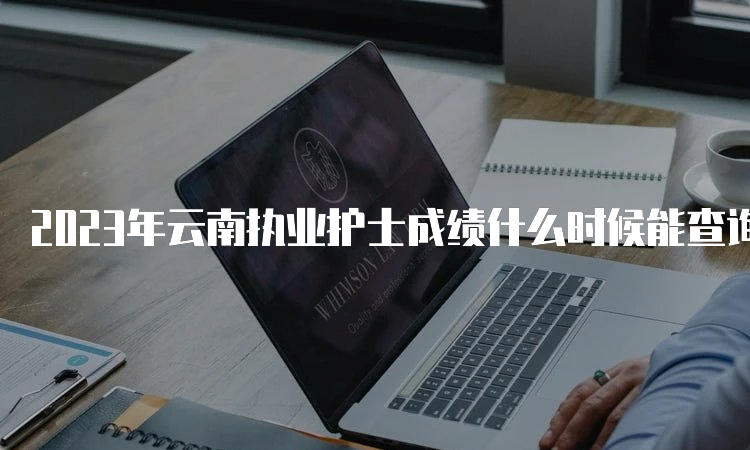 2023年云南执业护士成绩什么时候能查询