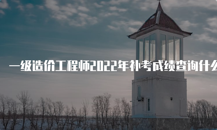 一级造价工程师2022年补考成绩查询什么时候开始？