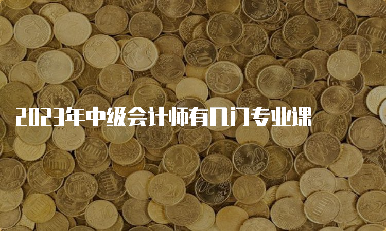 2023年中级会计师有几门专业课