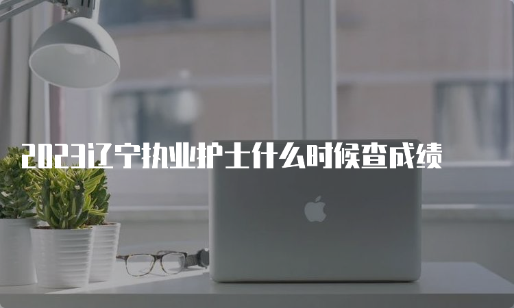 2023辽宁执业护士什么时候查成绩