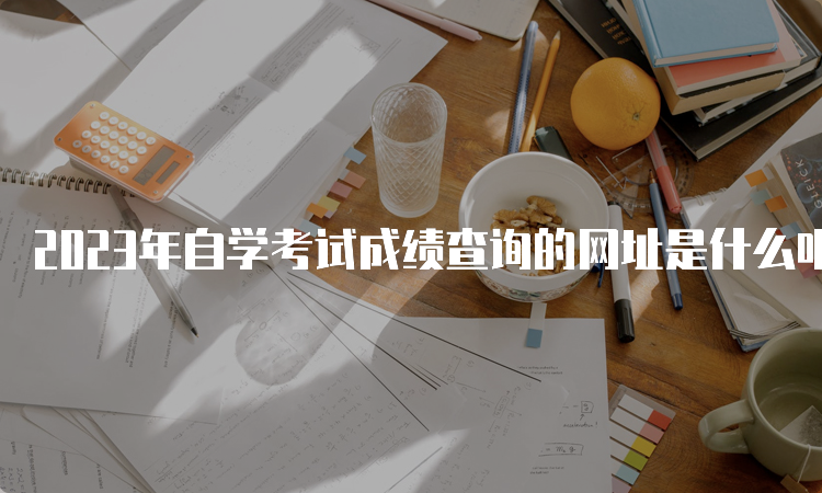 2023年自学考试成绩查询的网址是什么呢