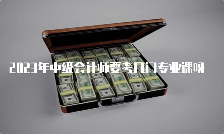 2023年中级会计师要考几门专业课呀