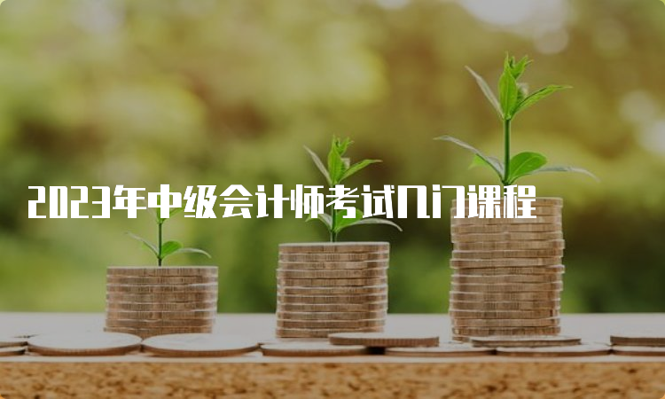 2023年中级会计师考试几门课程