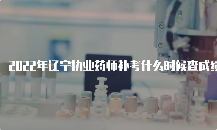 2022年辽宁执业药师补考什么时候查成绩