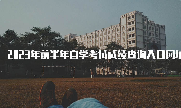 2023年前半年自学考试成绩查询入口网址是什么呀