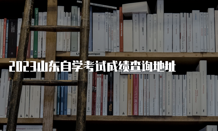 2023山东自学考试成绩查询地址