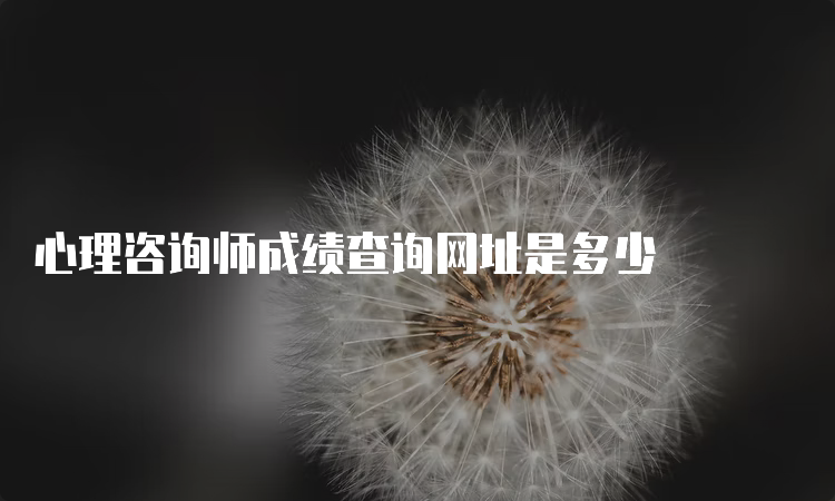 心理咨询师成绩查询网址是多少