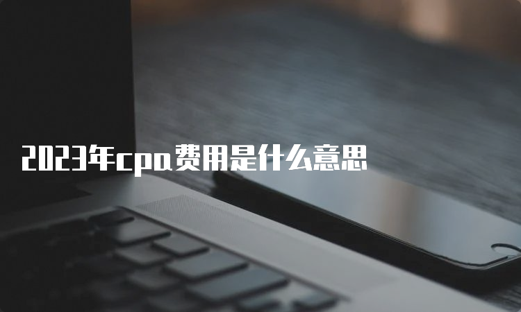 2023年cpa费用是什么意思