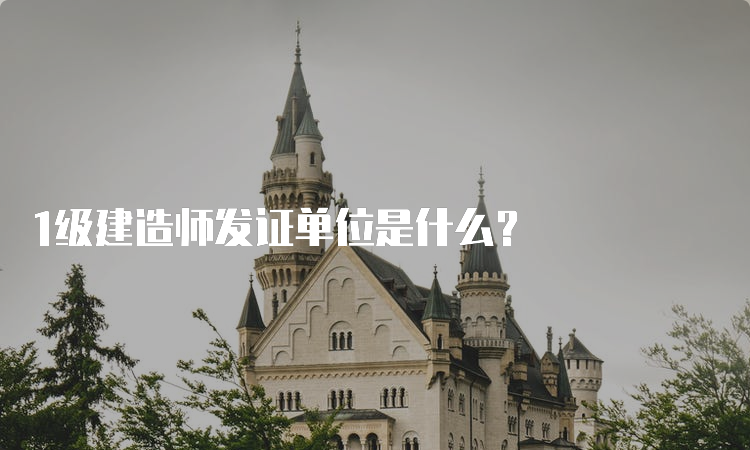 1级建造师发证单位是什么？