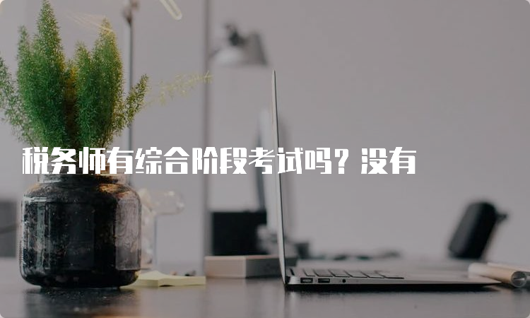 税务师有综合阶段考试吗？没有