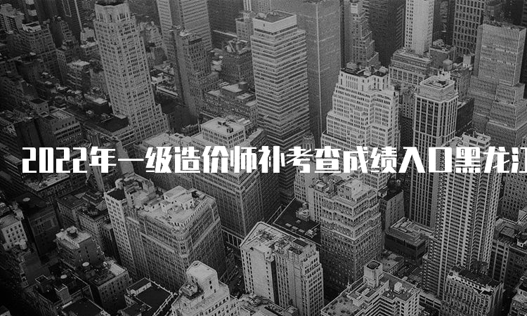 2022年一级造价师补考查成绩入口黑龙江