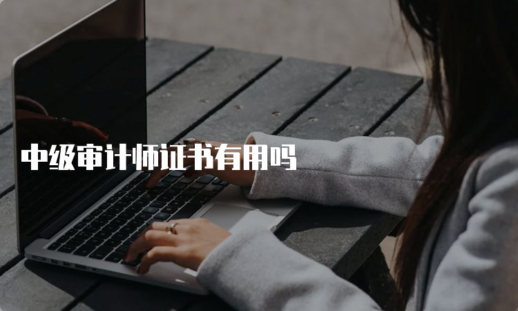 中级审计师证书有用吗