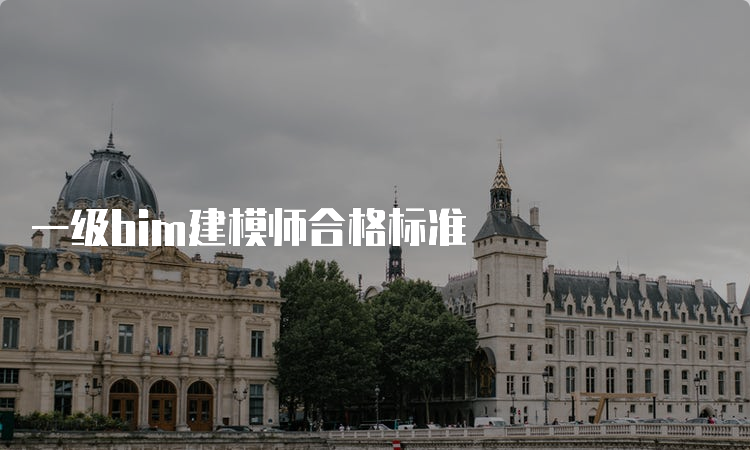 一级bim建模师合格标准