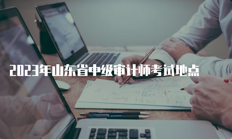 2023年山东省中级审计师考试地点