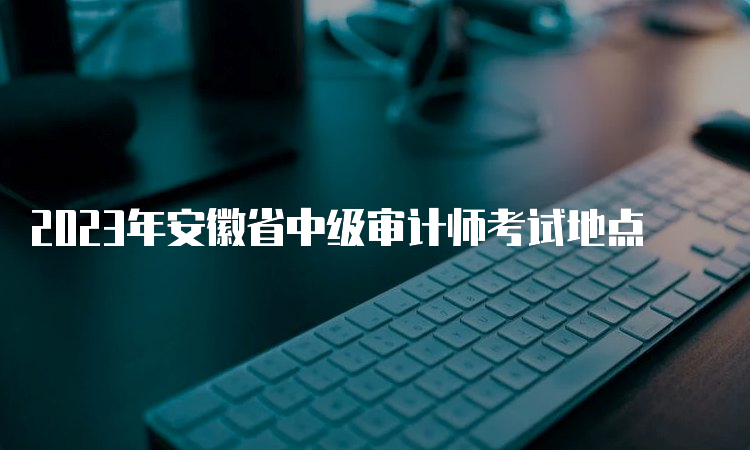 2023年安徽省中级审计师考试地点