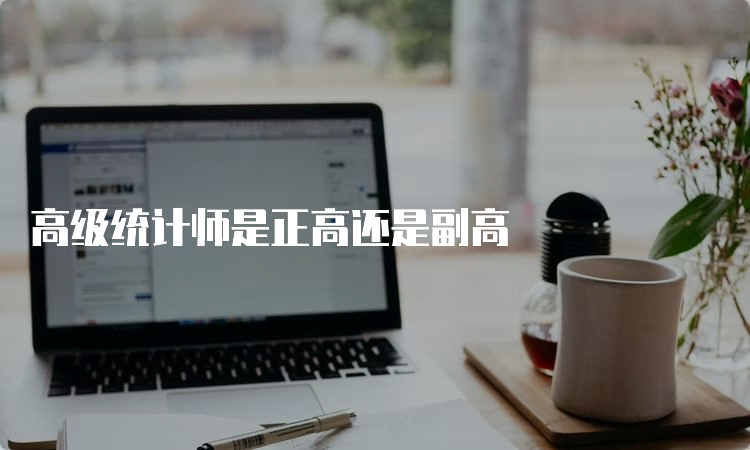 高级统计师是正高还是副高