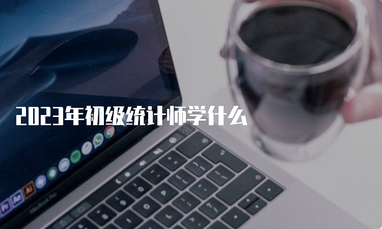 2023年初级统计师学什么