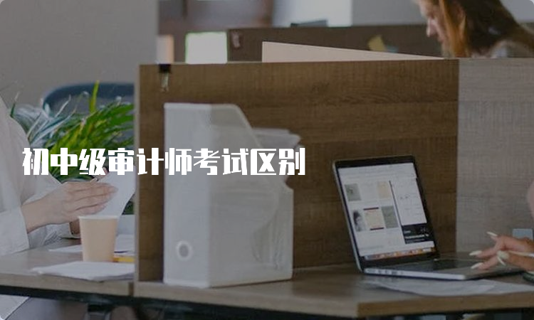 初中级审计师考试区别