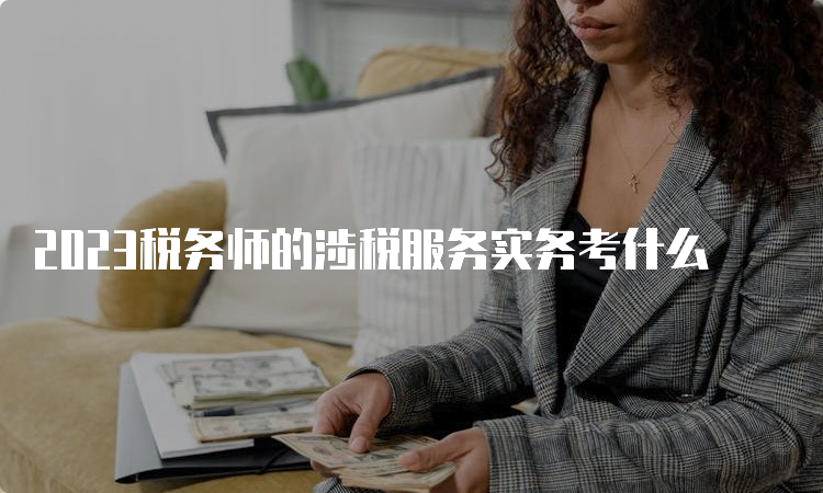 2023税务师的涉税服务实务考什么