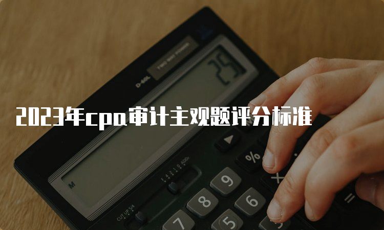 2023年cpa审计主观题评分标准