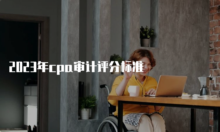 2023年cpa审计评分标准