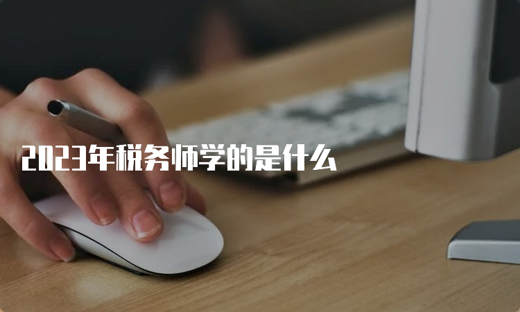 2023年税务师学的是什么