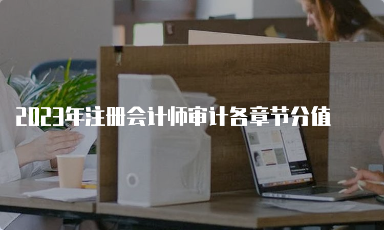 2023年注册会计师审计各章节分值