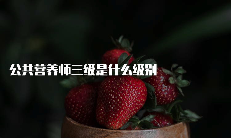 公共营养师三级是什么级别