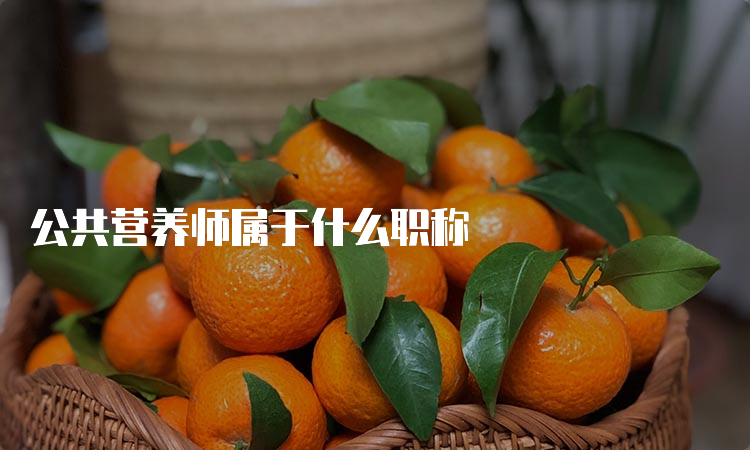 公共营养师属于什么职称