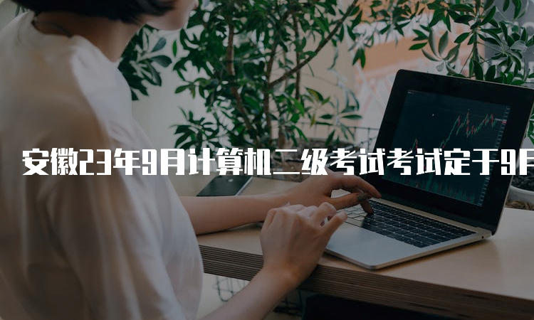 安徽23年9月计算机二级考试考试定于9月23日至25日