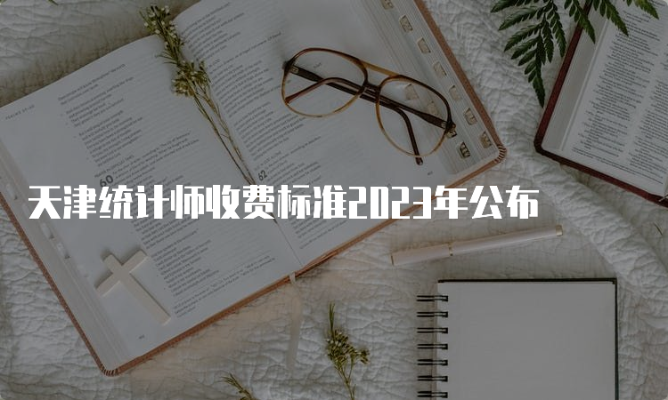 天津统计师收费标准2023年公布