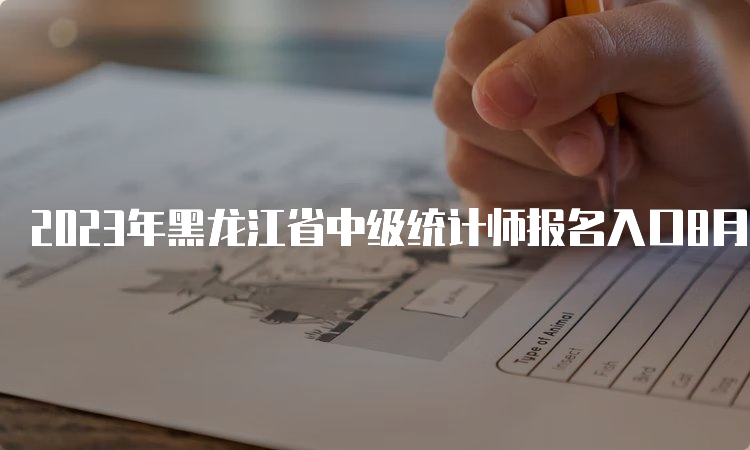 2023年黑龙江省中级统计师报名入口8月10日关闭