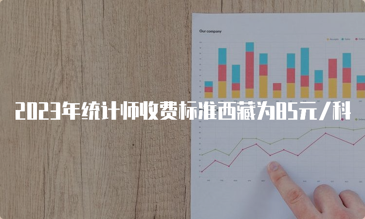 2023年统计师收费标准西藏为85元/科