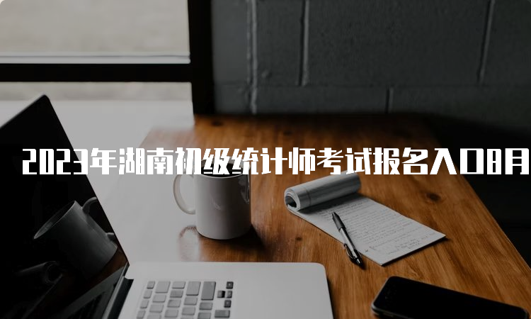 2023年湖南初级统计师考试报名入口8月10日17:00结束