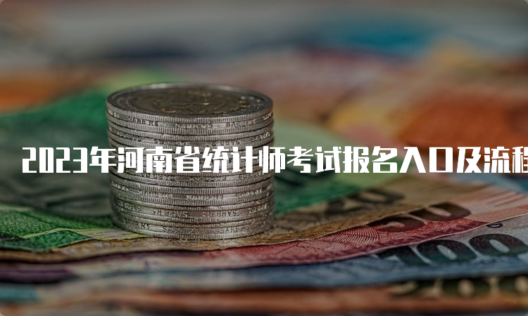 2023年河南省统计师考试报名入口及流程8月11日17:00关闭