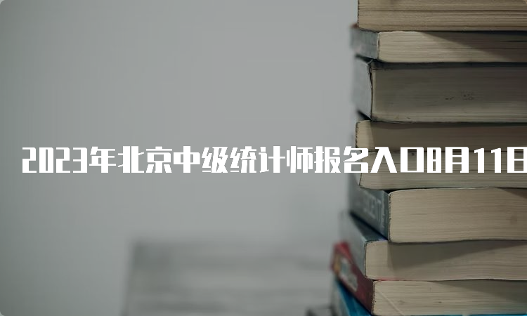 2023年北京中级统计师报名入口8月11日关闭