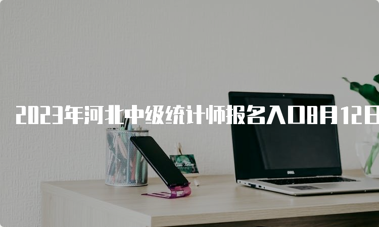 2023年河北中级统计师报名入口8月12日24时截止