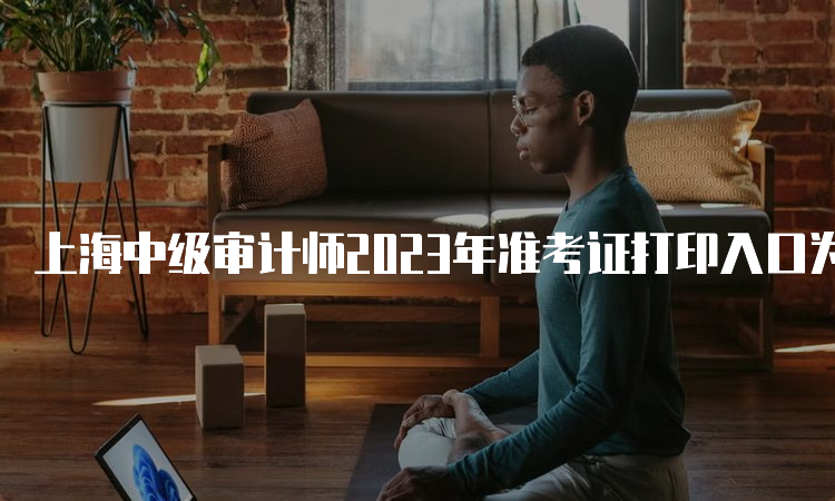 上海中级审计师2023年准考证打印入口为中国人事考试网